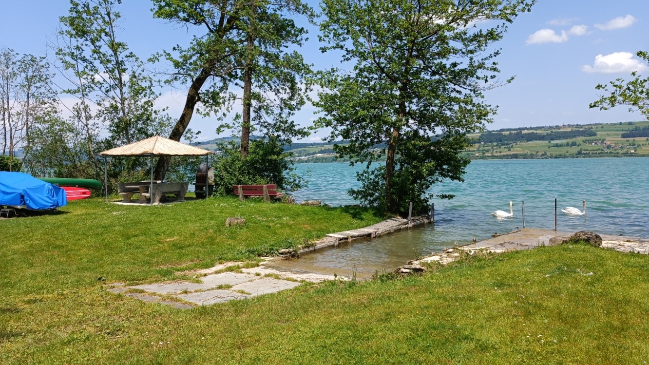 Schwan